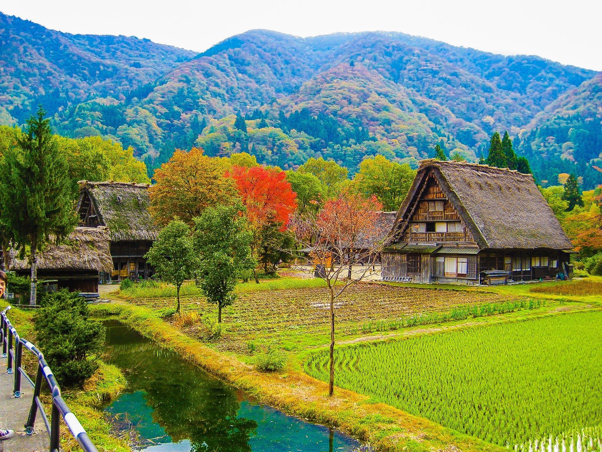 Shirakawa-go gassho village in autumn
