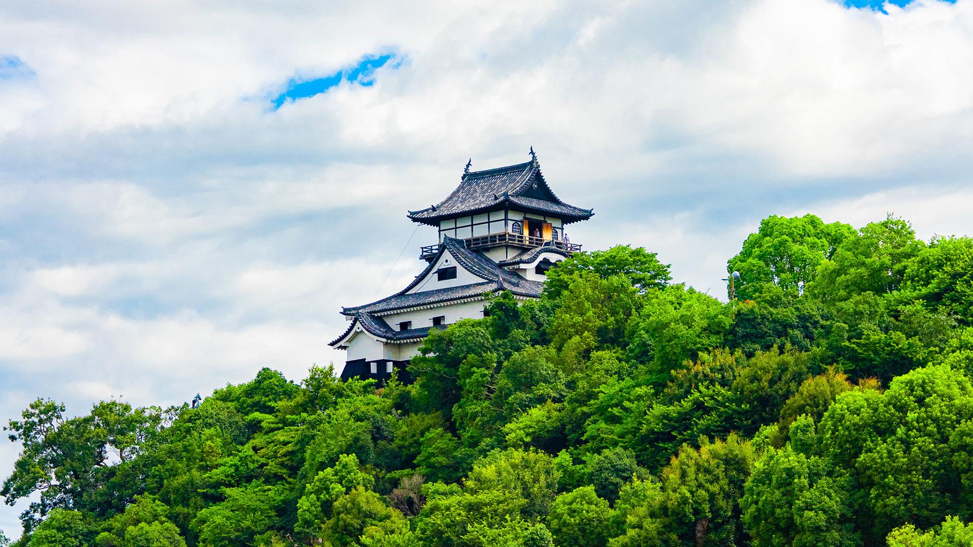 Inuyama Castle on its green hill